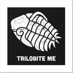 Trilobite Fossil Posters and Art